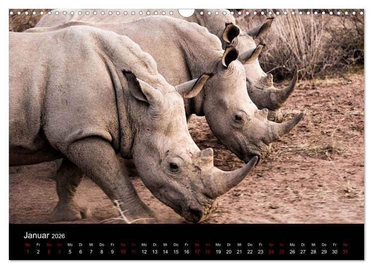 Produktbild: Afrika - Faszination Tierwelt (Wandkalender 2026 DIN A3 quer), CALVENDO Monatskalender