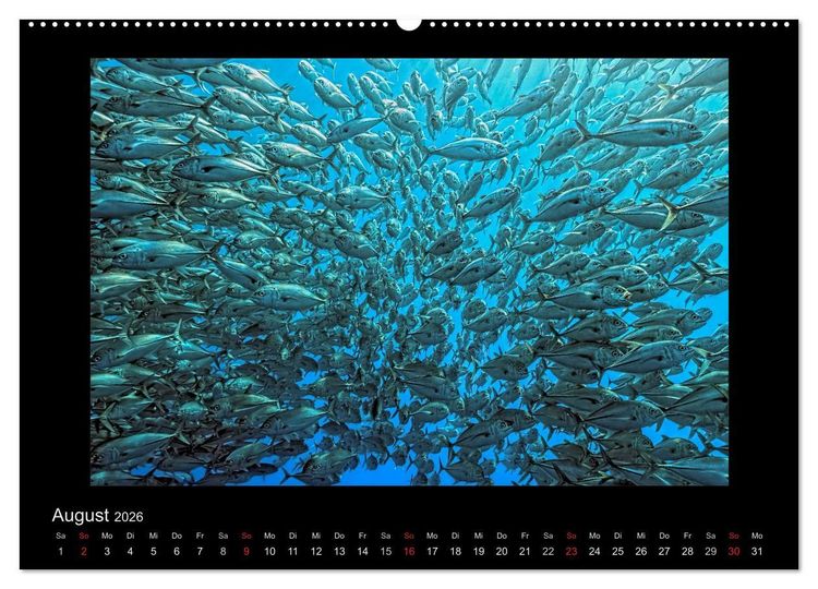 Produktbild: OCEAN - ART (Wandkalender 2026 DIN A2 quer), CALVENDO Monatskalender