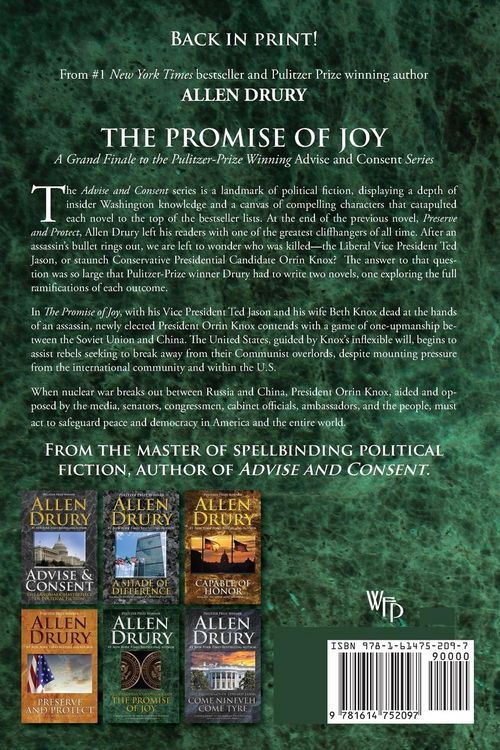 Produktbild: The Promise of Joy