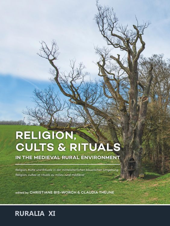Produktbild: Religion, cults & rituals in the medieval rural environment