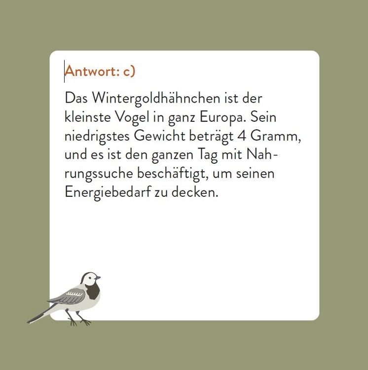 Produktbild: Das Vogel-Quiz