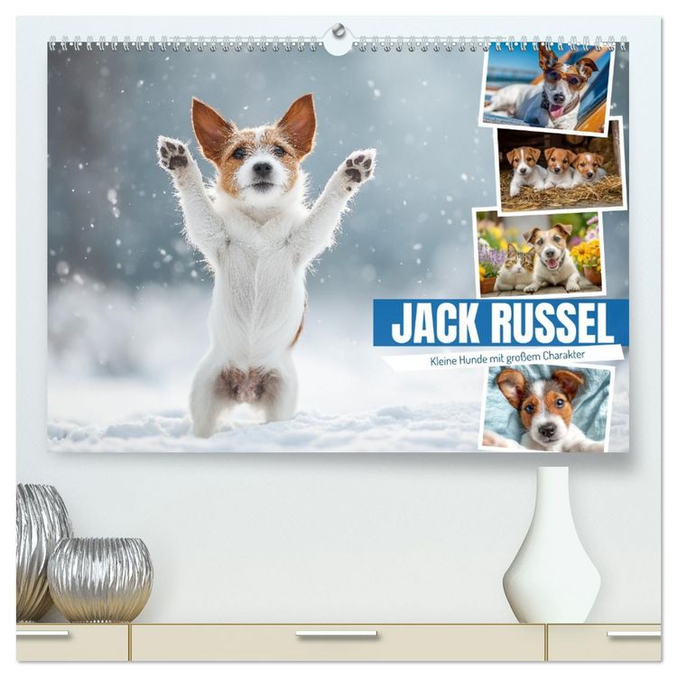 Produktbild: JACK RUSSEL - Kleine Hunde mit gro&szlig;em Charakter (hochwertiger Premium Wandkalender 2026 DIN A2 quer), Kunstdruck in Hochglanz