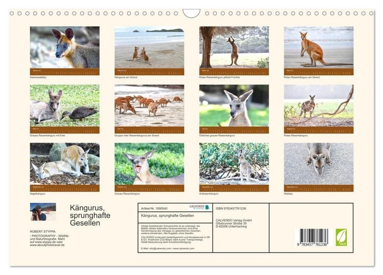 Produktbild: K&auml;ngurus, sprunghafte Gesellen (Wandkalender 2026 DIN A3 quer), CALVENDO Monatskalender