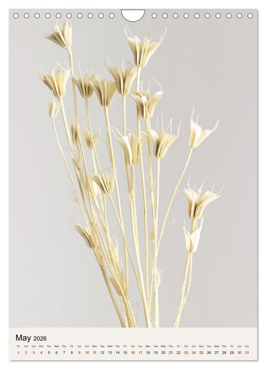 Produktbild: Dried Flowers (Wall Calendar 2026 DIN A4 portrait), CALVENDO 12 Month Wall Calendar