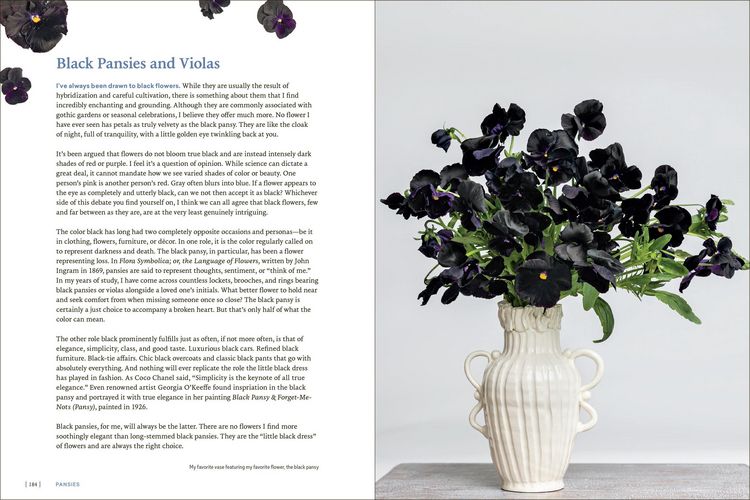 Produktbild: Pansies