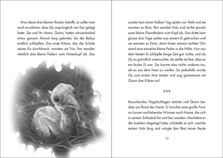 Produktbild: Wild Stork (Band 1) - Besch&uuml;tzer des Waldes