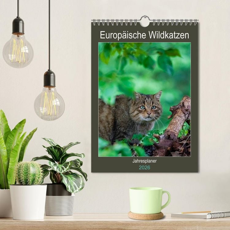 Produktbild: Europ&auml;ische Wildkatzen - Jahresplaner (Wandkalender 2026 DIN A4 hoch), CALVENDO Monatskalender