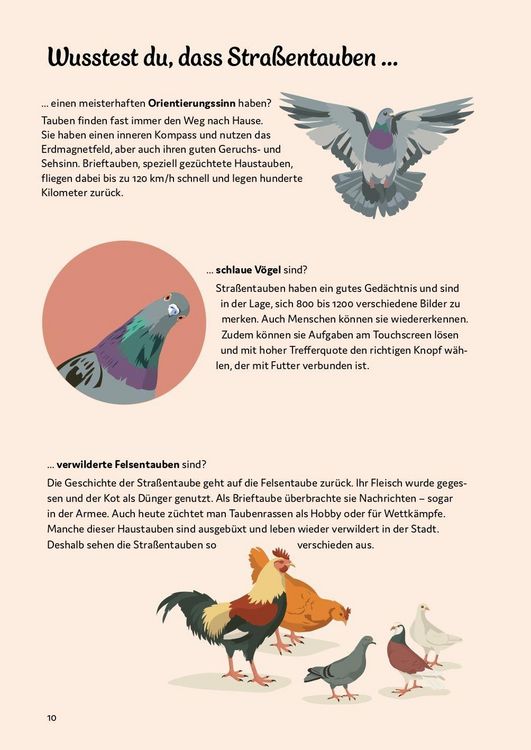 Produktbild: So nah, so wild
