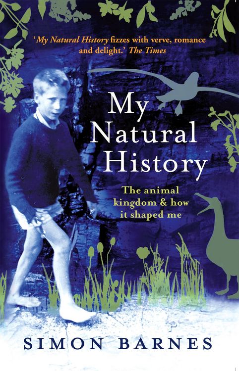 Produktbild: My Natural History