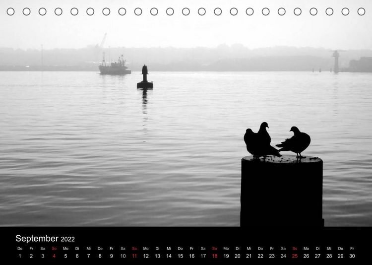 Produktbild: Kieler V&ouml;gel (Tischkalender 2022 DIN A5 quer)