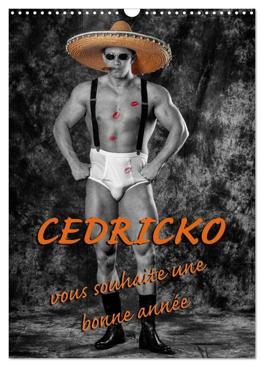 Produktbild: CEDRICKO vous souhaite une bonne ann&eacute;e (Calendrier mural 2026 DIN A3 horizontal), CALVENDO calendrier mensuel
