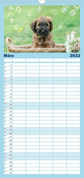 Produktbild: Briardbabys in ihren ersten Wochen - Familienplaner hoch (Wandkalender 2022 , 21 cm x 45 cm, hoch)