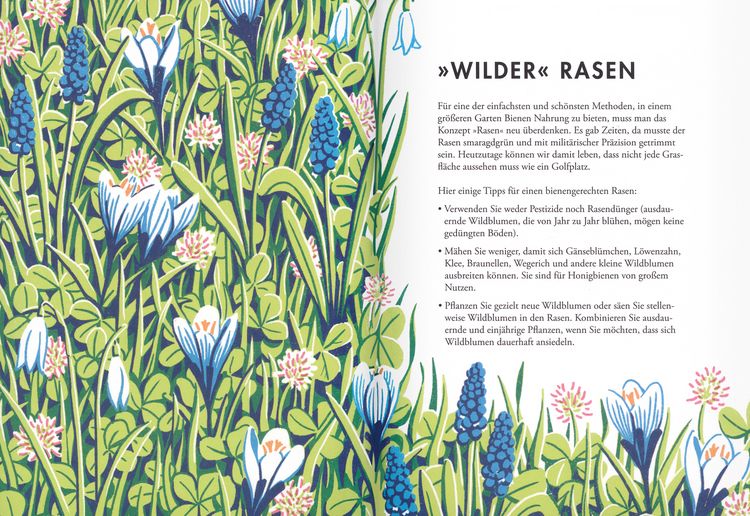 Produktbild: Pflanzen f&uuml;r Honigbienen