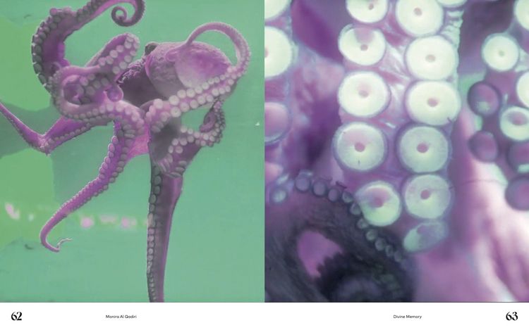 Produktbild: Denken wie ein Oktopus, oder: Tentakul&auml;res Begreifen
