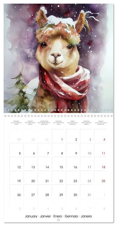 Produktbild: Alpagas du c&oelig;ur (Calendrier mural carr&eacute; 2026 30x30 cm) Calendrier double avec une page pour vos prises de notes