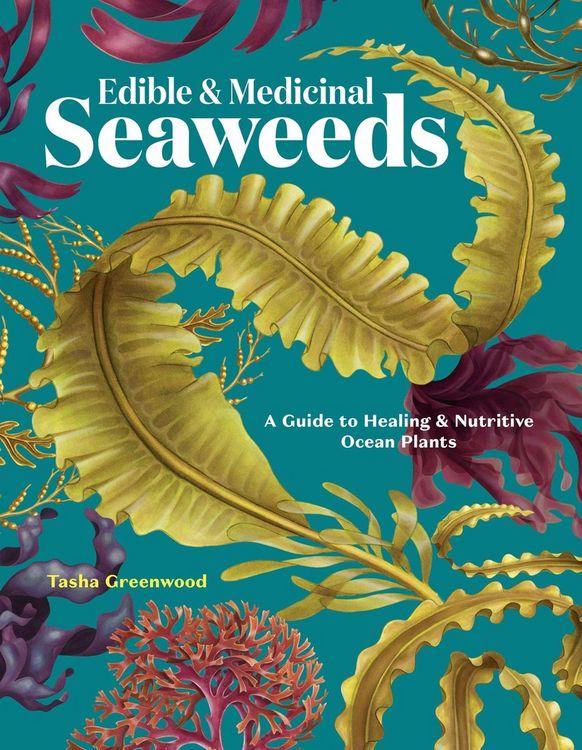 Produktbild: Edible & Medicinal Seaweeds