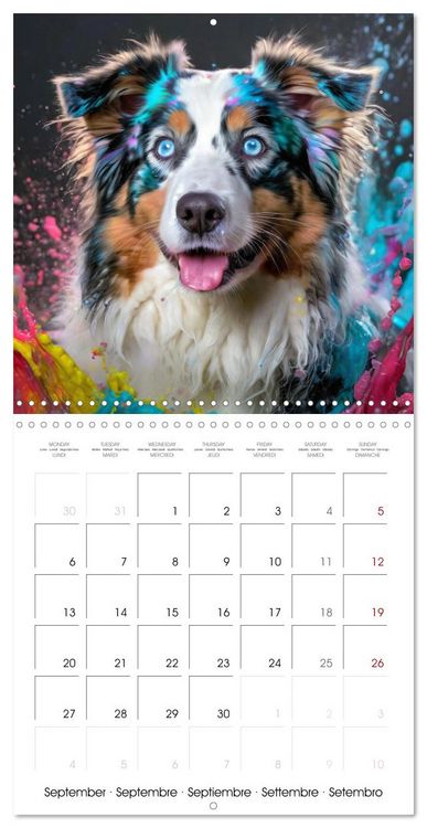 Produktbild: Colourful Splash Dogs (Wall Calendar 2027 12 &times; 12 Inch) CALVENDO 12 Month Wall Calendar