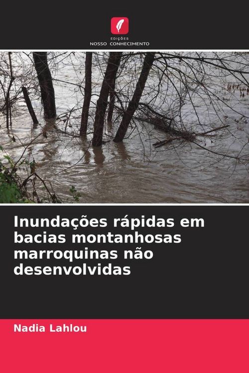 Produktbild: Inunda&ccedil;&otilde;es r&aacute;pidas em bacias montanhosas marroquinas n&atilde;o desenvolvidas