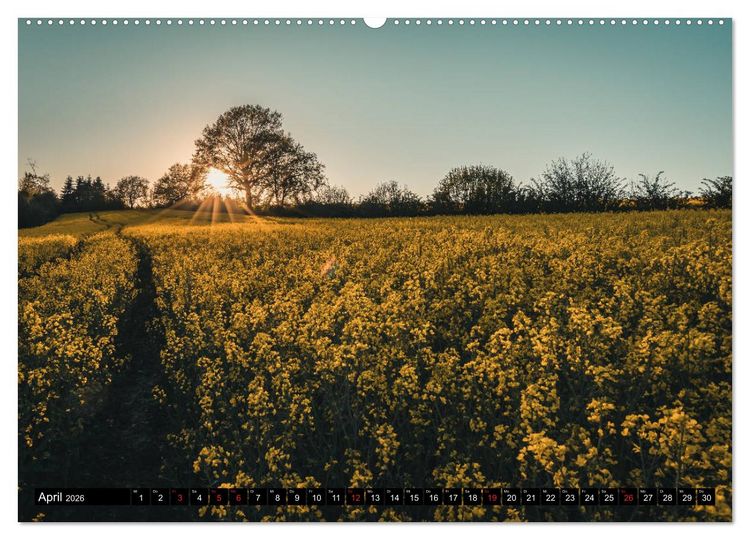 Produktbild: Das M&uuml;nsterland - Meine Impressionen (hochwertiger Premium Wandkalender 2026 DIN A2 quer), Kunstdruck in Hochglanz