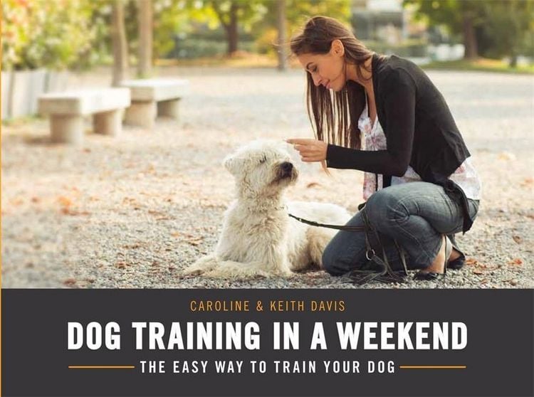 Produktbild: Davis, C: Dog Training in a Weekend