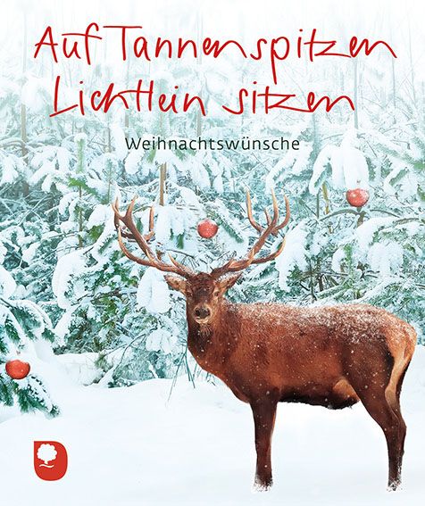 Produktbild: Auf Tannenspitzen Lichtlein sitzen