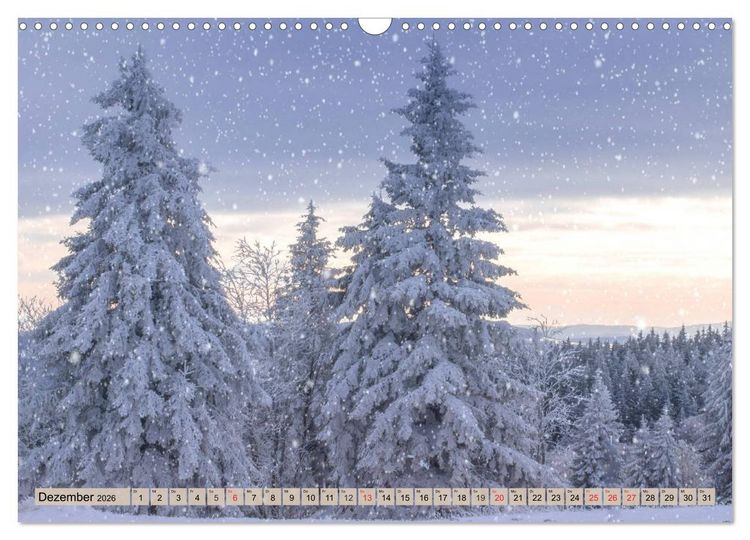Produktbild: Leise durch den Wald. Sich Zeit nehmen und der Stille lauschen (Wandkalender 2026 DIN A3 quer), CALVENDO Monatskalender