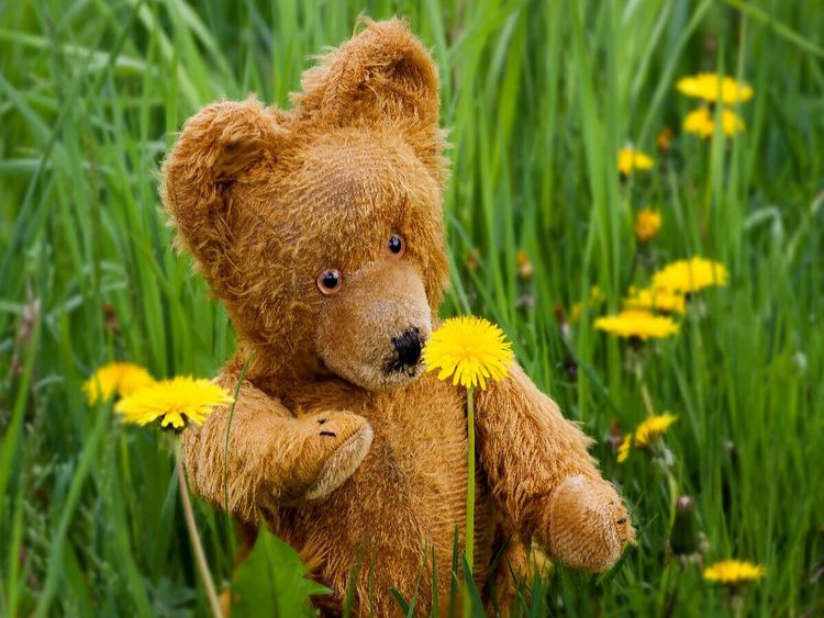 Produktbild: CALVENDO Puzzle Die ersten Blumen | 1000 Teile Lege-Gr&ouml;&szlig;e 64x48cm Foto-Puzzle f&uuml;r gl&uuml;ckliche Stunden