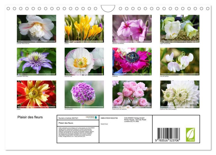 Produktbild: Plaisir des fleurs (Calendrier mural 2026 DIN A4 vertical), CALVENDO calendrier mensuel