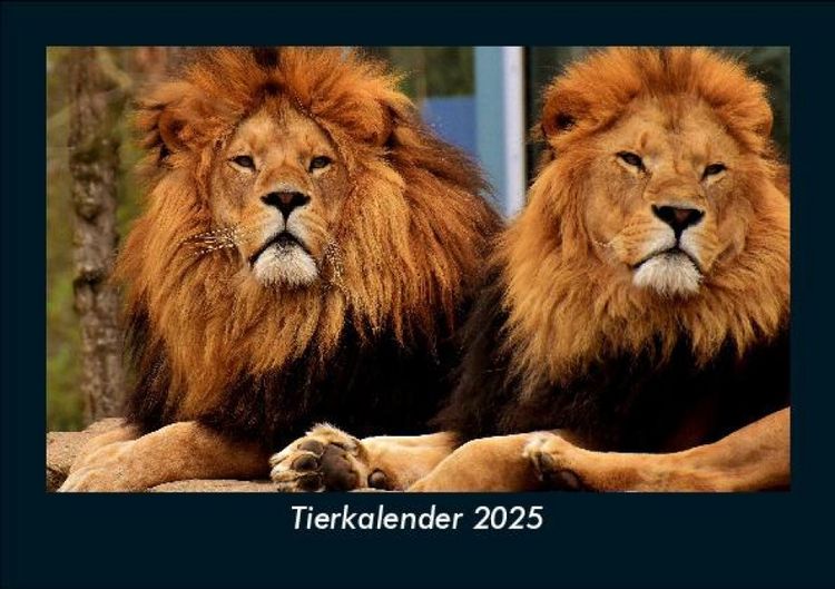 Produktbild: Tierkalender 2025 Fotokalender DIN A5