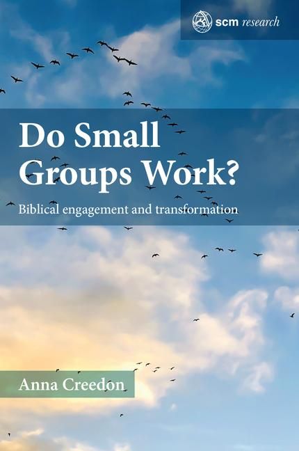 Produktbild: Do Small Groups Work?