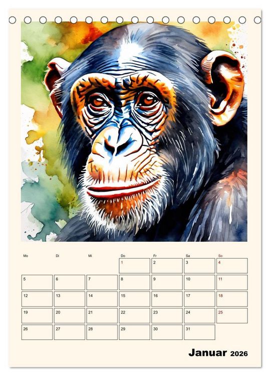 Produktbild: Schimpansen & Gorillas (Tischkalender 2026 DIN A5 hoch), CALVENDO Monatskalender