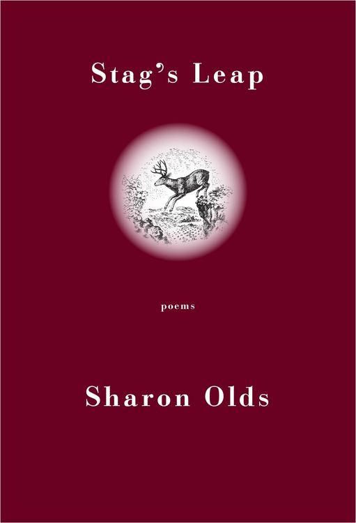 Produktbild: Stag's Leap