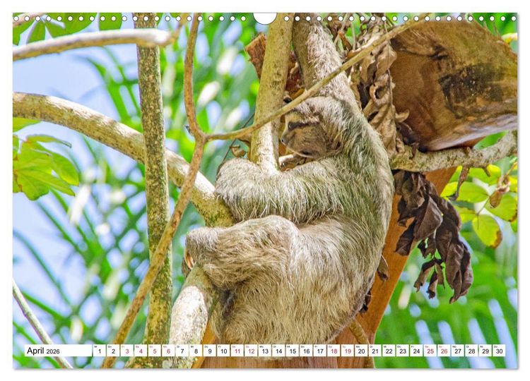 Produktbild: Traumziele Mittelamerikas - Costa Rica, Panama und Kolumbien (Wandkalender 2026 DIN A3 quer), CALVENDO Monatskalender