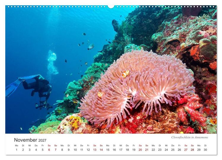 Produktbild: Unterwasser - eine bunte Welt (hochwertiger Premium Wandkalender 2027 DIN A2 quer), Kunstdruck in Hochglanz