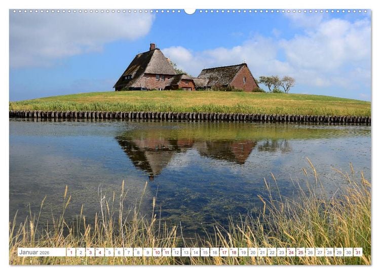 Produktbild: Sommertage auf Hallig Hooge (hochwertiger Premium Wandkalender 2026 DIN A2 quer), Kunstdruck in Hochglanz