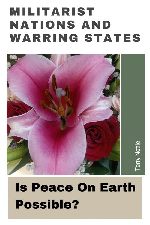 Produktbild: Militarist Nations And Warring States: Is Peace On Earth Possible?