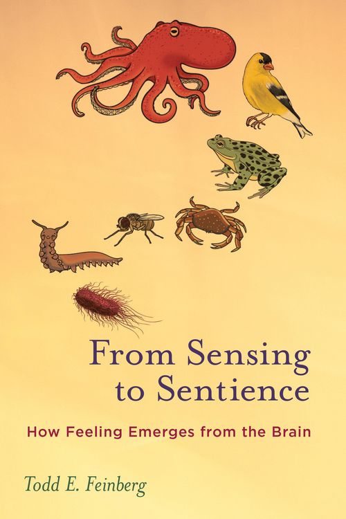 Produktbild: From Sensing to Sentience