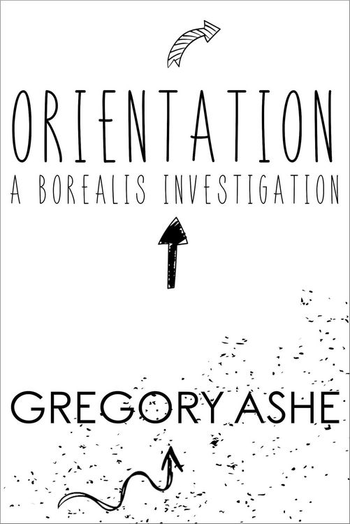 Produktbild: Orientation (The Borealis Investigations, #1)