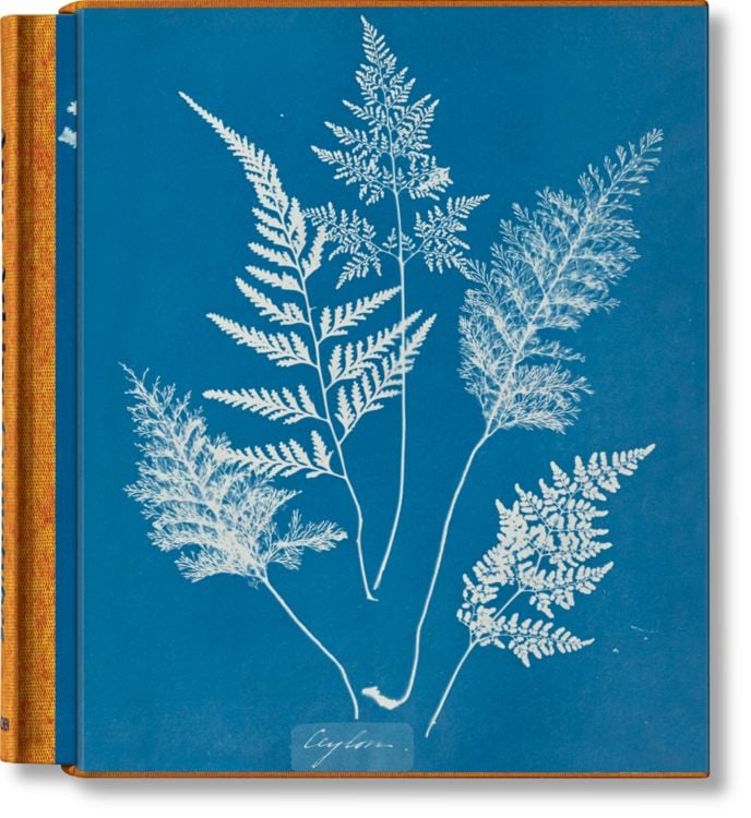 Produktbild: Anna Atkins