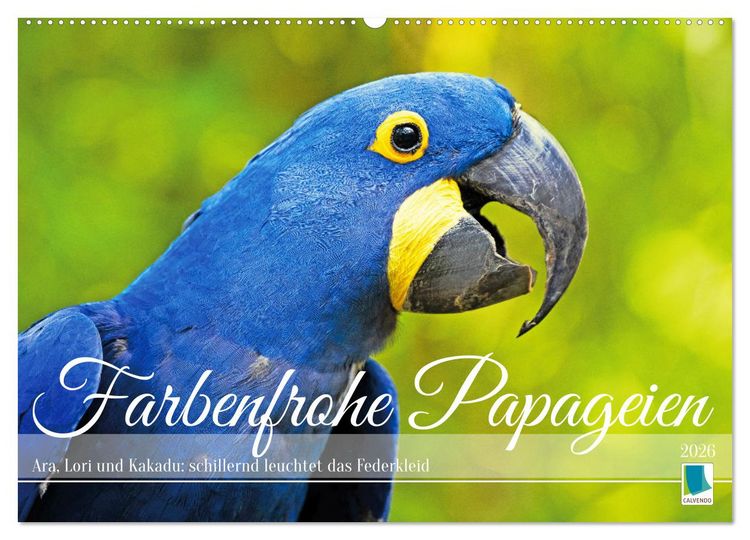Produktbild: Farbenfrohe Papageien (Wandkalender 2026 DIN A2 quer), CALVENDO Monatskalender