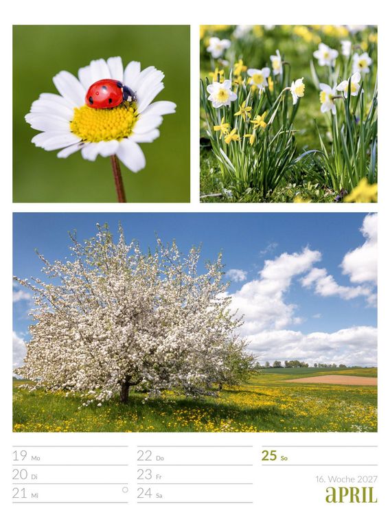 Produktbild: Farben der Natur Wochenplaner Kalender 2027