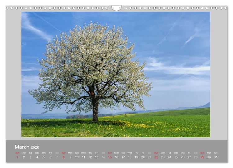 Produktbild: Switzerland Mountainscapes 2026 (Wall Calendar 2026 DIN A3 landscape), CALVENDO 12 Month Wall Calendar