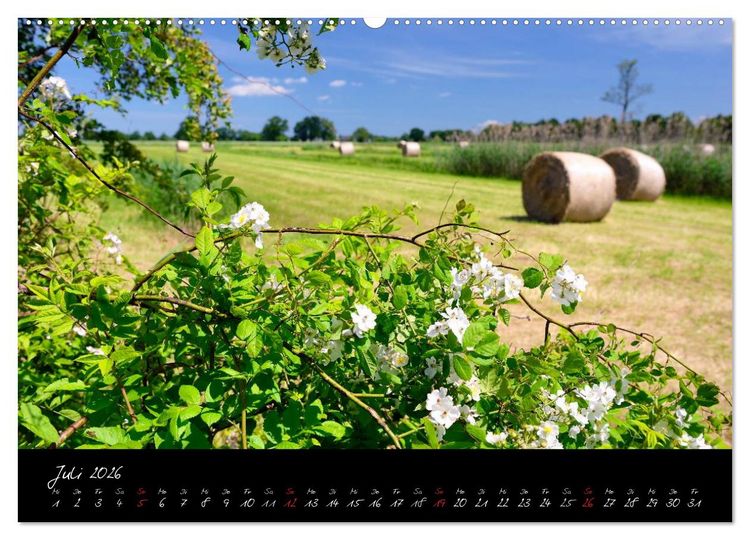 Produktbild: Vier- und Marschlande Hamburgs gr&uuml;ner S&uuml;dosten (hochwertiger Premium Wandkalender 2026 DIN A2 quer), Kunstdruck in Hochglanz