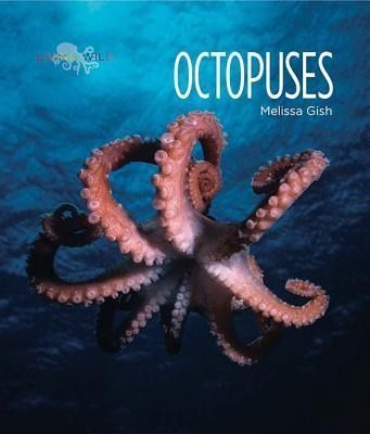 Produktbild: Octopuses