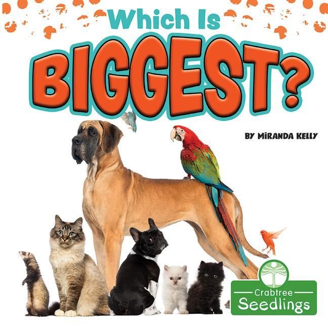 Produktbild: Which Is Biggest?