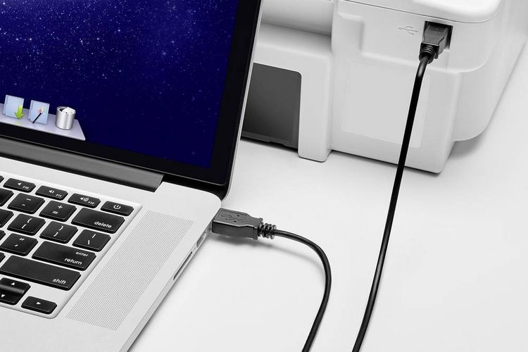 Produktbild: Renkforce USB-Kabel USB 2.0 USB-A Stecker, USB-B Stecker 0.30 m Schwarz vergoldete Steckkontakte RF-4463064