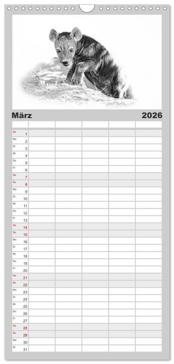 Produktbild: Familienplaner 2026 - AFRIKA - Schwarz-weiss Fotografien im modernen "High Key" Look mit 5 Spalten (Wandkalender, 21 x 45 cm) CALVENDO