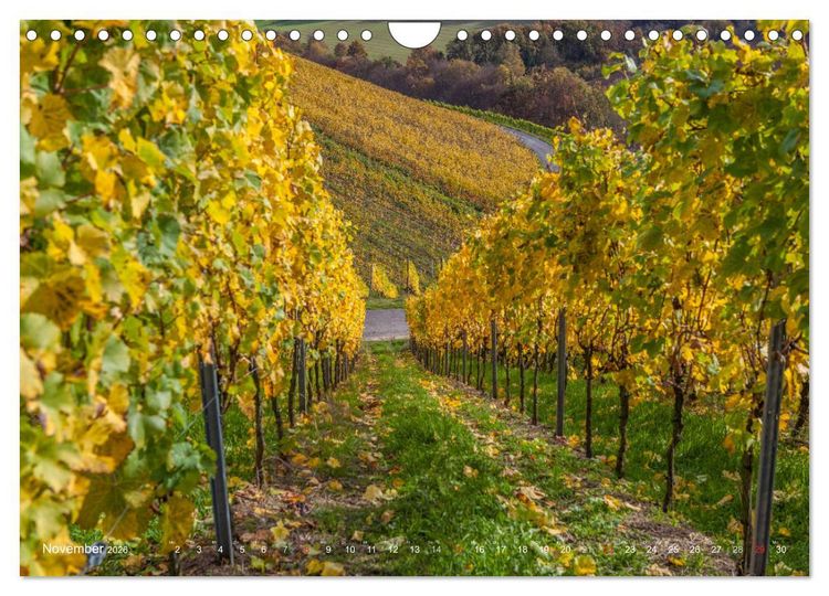 Produktbild: Weinlagen in Franken (Wandkalender 2026 DIN A4 quer), CALVENDO Monatskalender