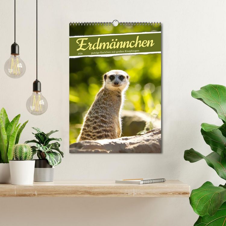 Produktbild: Erdm&auml;nnchen, putzige Kerlchen mit gro&szlig;en Knopfaugen (Wandkalender 2026 DIN A3 hoch), CALVENDO Monatskalender