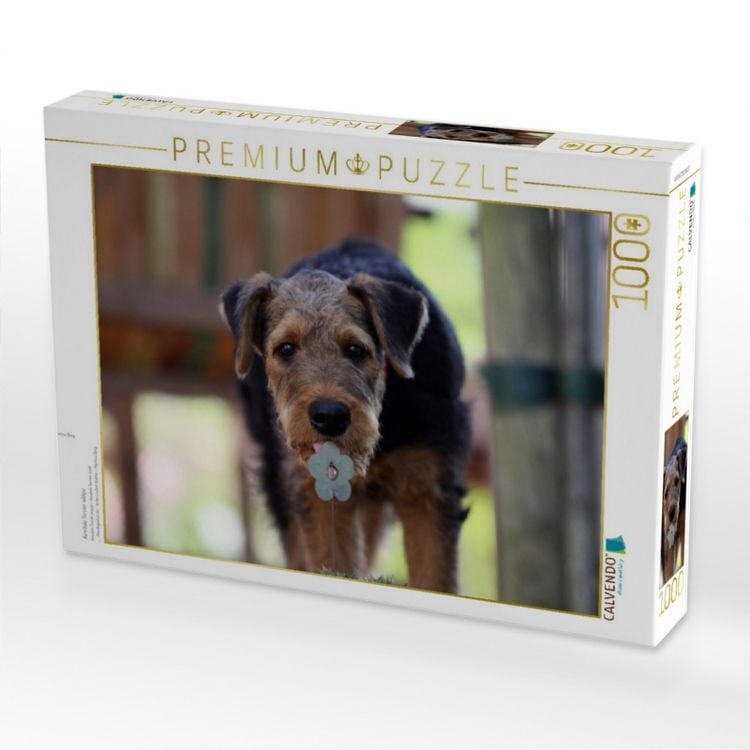 Produktbild: CALVENDO Puzzle Airedale Terrier Welpe | 1000 Teile Lege-Gr&ouml;&szlig;e 64x48cm Foto-Puzzle f&uuml;r gl&uuml;ckliche Stunden